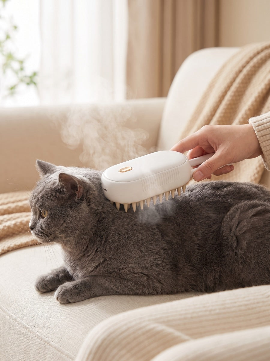 Cepillando a un gato britanico gris con el Cepillo Vapor MimosPet