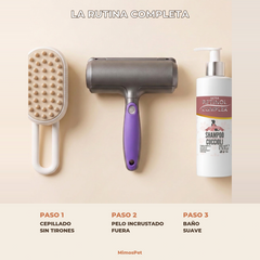 Kit Casa Sin Pelo – Cepillo Vapor + Sónico + Champú
